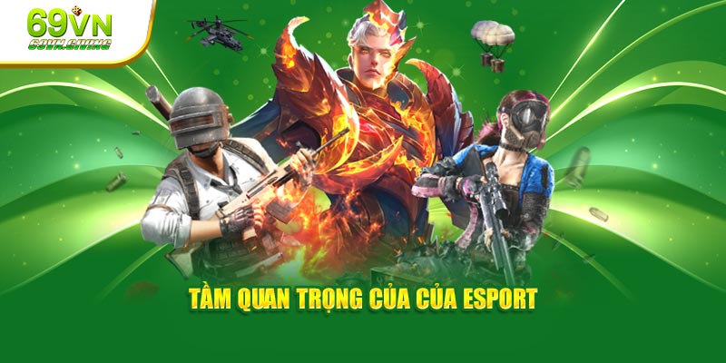 Tầm quan trọng của Esport FPS
